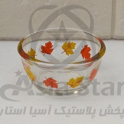 sale-bowl-galaxy-autumn-pic-1