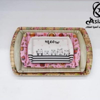 sales-tray-melamine-pic-2