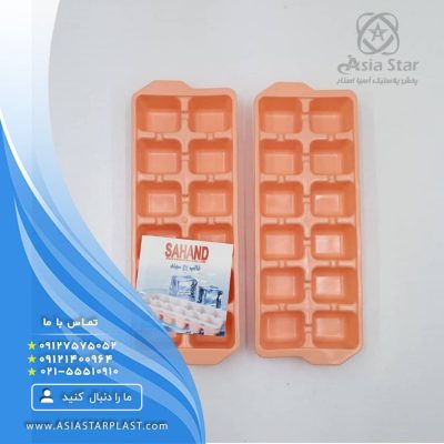 sales-mold-ice-sahand-pic-1